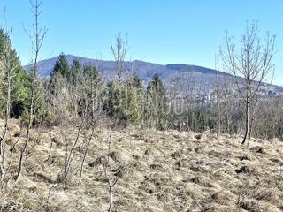 Zemljišče Vujnovići, Vrbovsko, 1.301m2