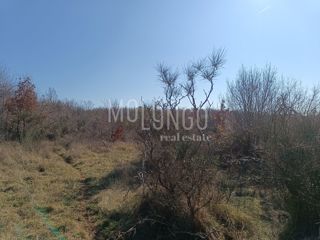 ISTRA, POREČ Privlačno kmetijsko posestvo s pogledom na morje