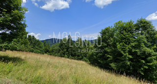 Zemljišče Brestova Draga, Mrkopalj, 4.100m2