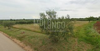 Zemljišče Tar, Tar-Vabriga, 3.496m2