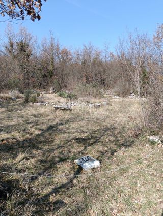 Zemljišče Novigrad, 442m2