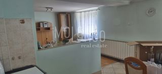 Hiša Belo Selo, Fužine, 200.000m2