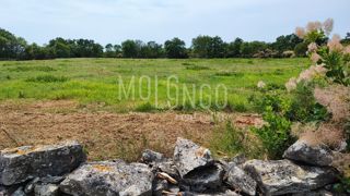 Zemljišče Kršete, Buje, 49.000m2