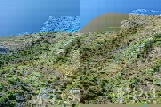 Zemljišče s panoramskim razgledom in hišo