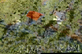 Oljčni nasad s pogledom na morje v Jelsi