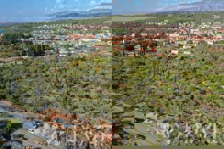 Oljčni nasad v bližini starega mestnega jedra