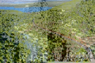 Oljčni nasad v bližini trajektnega pristanišča