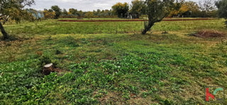 Pula, Busoler, zazidljivo zemljišče 603m2 pravilnega formata