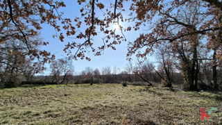 POREČ, OKOLICA, GRAĐEVINSKO ZEMLJIŠTE 1090 m2 #PRODAJA
