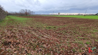 Istra, Loborika, gradbena parcela 2000m2 pravilnega formata