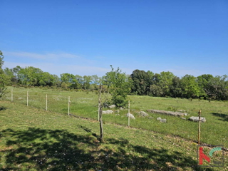 Istra, Peruški, kmetijsko zemljišče 1071m2 #prodaja