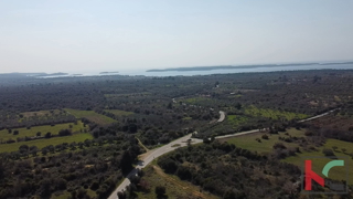 ISTRA, FAŽANA, ZEMLJIŠČE ZA KMETIJSKO NAMEMBO 500 M2, #PRODAJA