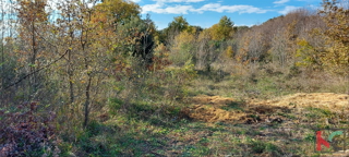 Istra, Rovinj, Palud kmetijsko zemljišče 4128m2