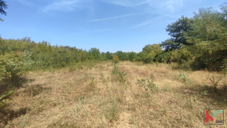 Manjadvorci, zemljišče 970, zemljišče pravilne oblike