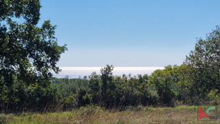 Istra, Perugia, gradbeno kmetijsko zemljišče 5932m2 s pogledom na morje