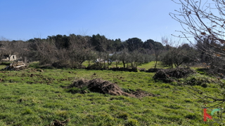 BANJOLE, ZEMLJIŠČE 597 M2 Z DOVOLJENJEM ZA GRADNJO #PRODAJA