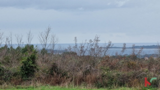 Istra, Marčana, Cokuni gradbeno zemljišče 3352m2 s pogledom na morje