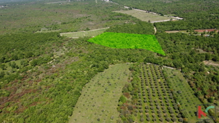 ISTRA - VODNJAN, ZEMLJIŠČE 18.775 m2, PRODAJA