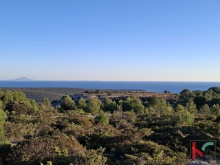 RAKALJ, ZEMLJIŠČE 1004 m2 S POGLEDOM NA MORJE #PRODAJA
