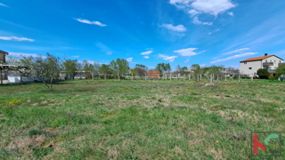 ISTRA, FAŽANA, GRADBENI ZEMLJIŠČE 524M2 #PRODAJA