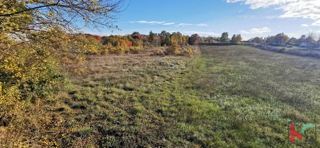 Istra, Kanfanar, Marići zazidljivo zemljišče 3671m2