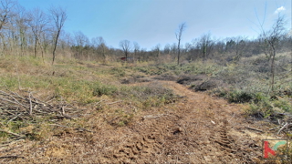 Istra - Potpićan stavbno zemljišče 10.128m2