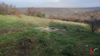 Istra, Mutvoran, kmetijsko zemljišče 12000 m2 z objektom v bližini Duge Uvale, #prodaja