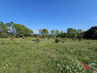 Istra, Peruški, prodamo zemljišče kmetijske namene 1002m2