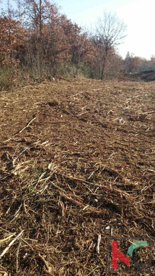 Istra, Občina Svetvinčenat, gradbeno zemljišče 1920m2 #prodaja