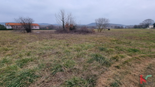 Rovinj, Rovinjsko Selo, več gradbenih parcel 1000m2, #prodaja