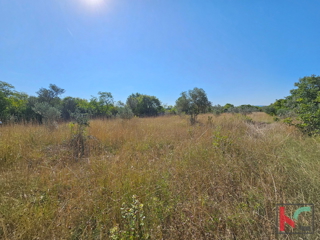 Istra, Fažana, kmetijsko zemljišče 2400m2