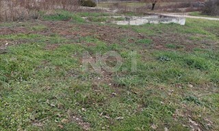 Brtonigla - prodaja gradbenega zemljišča s projektom za 2 hiši!