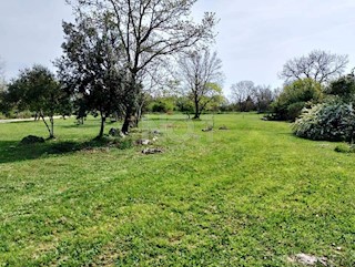 Rovinj - prodaja kmetijskega zemljišča