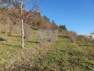 Livade - prodaja gradbenih stanovanjskih in poslovnih zemljišč