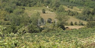 Novaki Motovunski - prodaja gozda