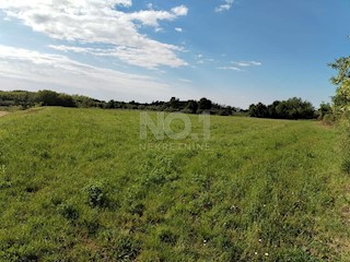 Zemljišče Kaštelir, Kaštelir-Labinci, 6.175m2