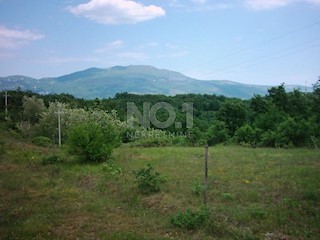 Zemljišče Lupoglav, 83.000m2