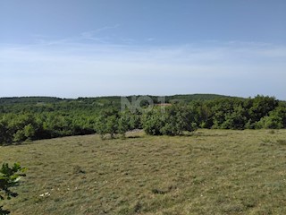 Višnjan - prodaja večje kmetijske parcele s pogledom na morje
