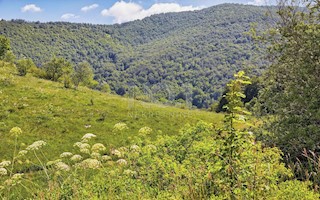 Veprinac, Falalelići - prodaja kmetijskega zemljišča