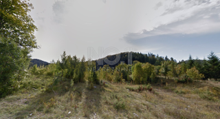 Bribir, Lukovo - prodaja kmetijskega zemljišča