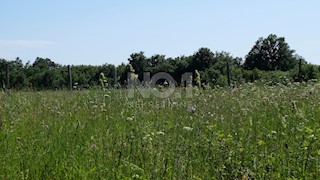 Zazidljivo zemljišče v bližini Buzeta