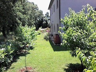 Umag - hiša s 3 stanovanjskimi enotami