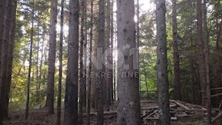 Klana - kmetijsko zemljišče z jelovim gozdom