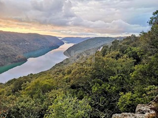 Sveti Lovreč - prodaja kmetijskega zemljišča