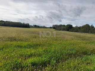 Vižinada - kmetijsko zemljišče na odlični lokaciji