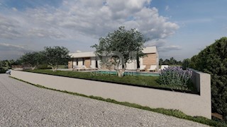 Labin - vila z 2 stanovanjskima enotama in bazenom za sprostitev