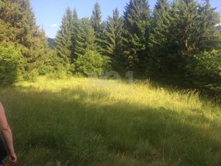 Delnice, Lučice - prodaja gradbenega zemljišča na mirni lokaciji