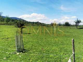 Prodaja mešane zemljišče v Plaškem – 82.924 m²