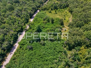Istra, okolica Poreča - Kmetijsko zemljišče ob asfaltirani cesti
