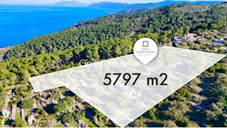 KORČULA, 4 kamnite hiše na 6000 m2 zemljišča